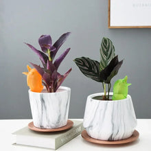 Lade das Bild in den Galerie-Viewer, Annaffia piante a forma di uccellino