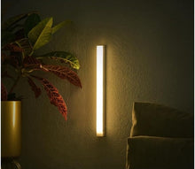 Carica l'immagine nel visualizzatore di Gallery, Luce LED con sensore