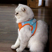 Lade das Bild in den Galerie-Viewer, Guinzaglio gatto
